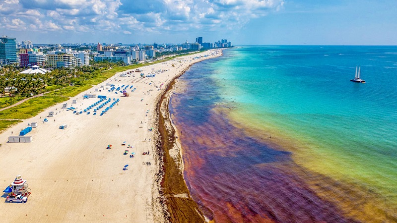 10 lugares românticos em Miami