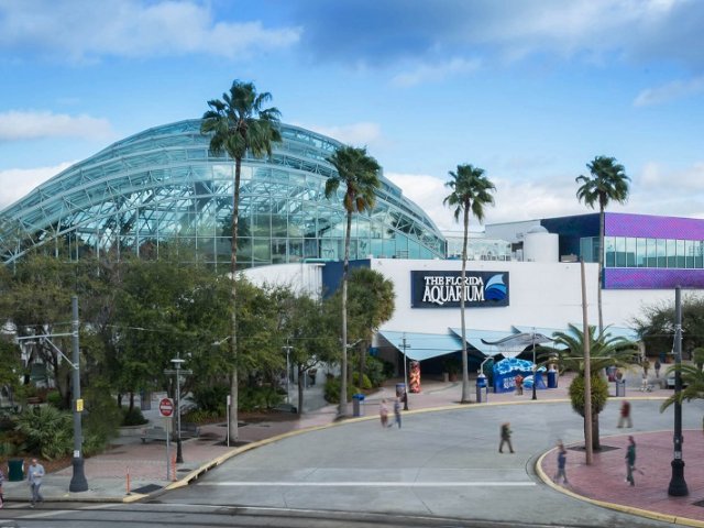 Florida Aquarium em Tampa na Flórida